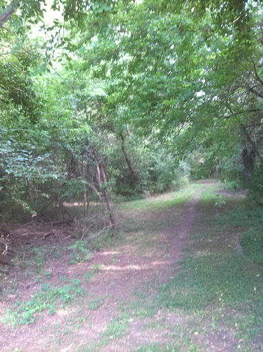 Walking Trails